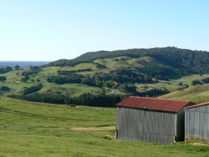 Listening to KD Lang brings up the same emotion for me as viewing the incomparable New Zealand landscape. @2008 ANVidean